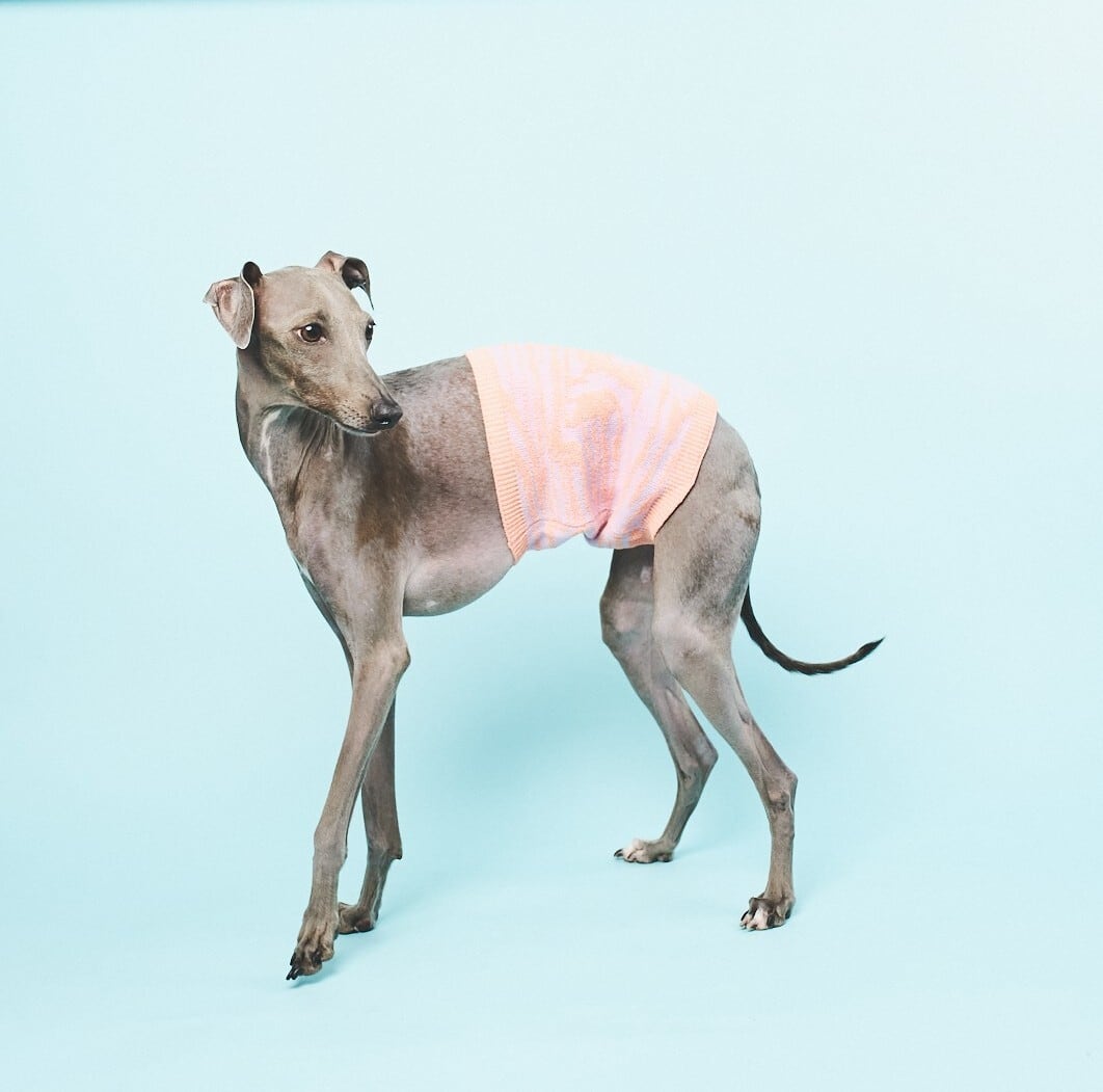 JACQURAD KNIT HARAMAKI-SALMON PINK