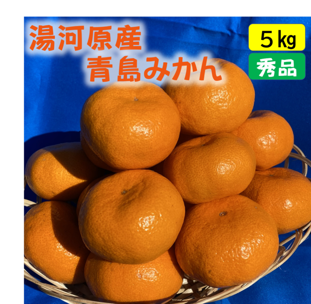 送料無料　年末年始にお楽しみください！！　早出し☆青島みかん10ｋｇ
