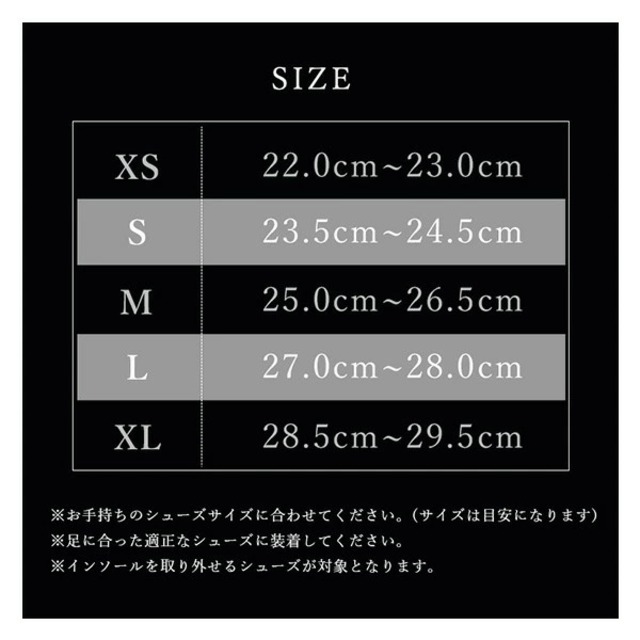 【松本義肢製作所】Fusion Flexi Core