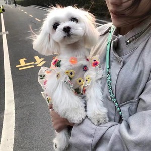 【PET】ドリーミー風フラワー模様刺繍キャミワンピース