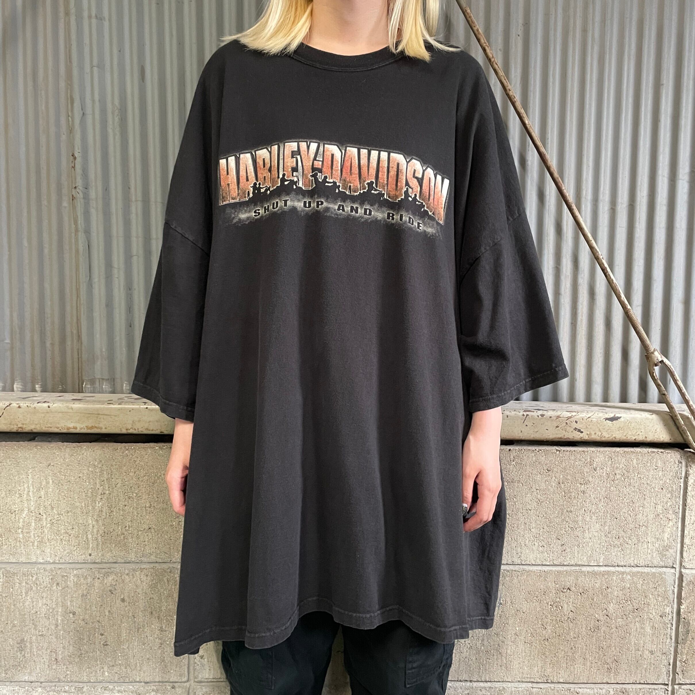 977 ハーレダビッドソン　Tシャツ ブラック　L デカロゴ　ビンテージ