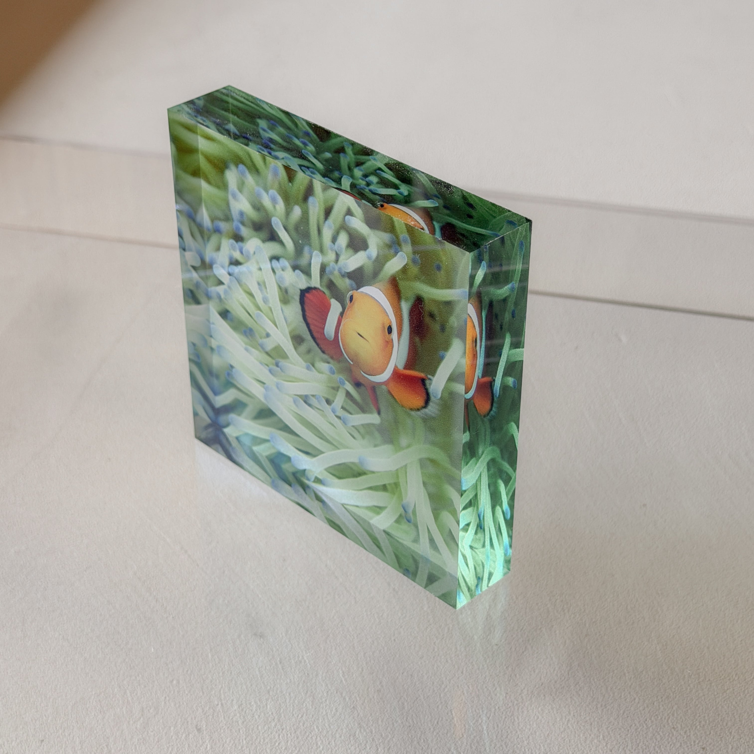 VIEW ALL PRODUCTS | TSUKIHOSHIHI