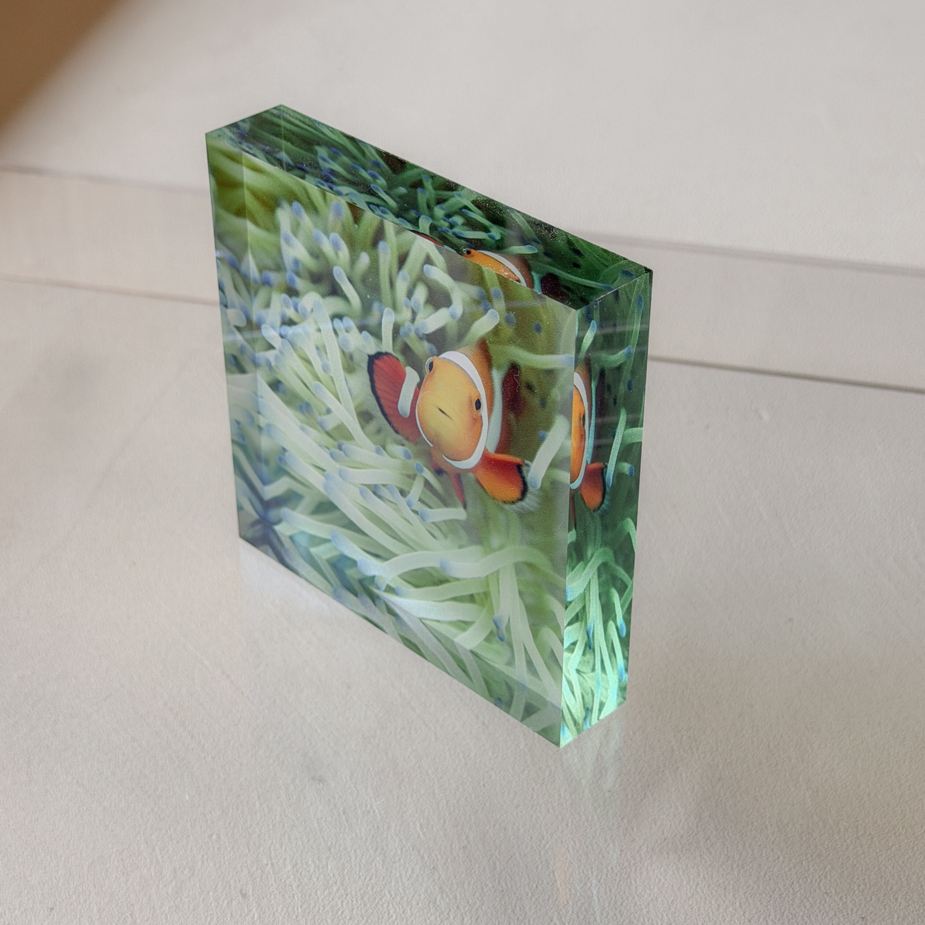 Little Life|Acrylic Cube Art — Kakeroma Island No.18|カクレクマノミ