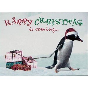 ドイツ製ペンギンのクリスマスカード/クリスマスポストカード送料220円〜　C0pernicus