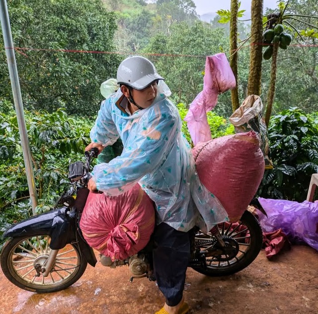 ベトナム　ラムドン省ダラット　Lanさんのイエローカツアイ・ナチュラル（中煎り）[コーヒー豆:200g]