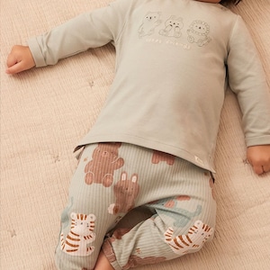 アニマルベビーセットアップ