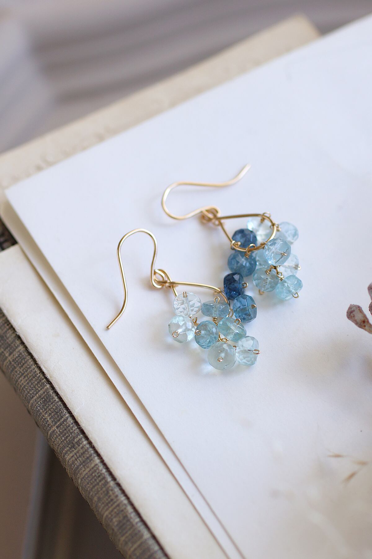 サンゴブランチ & アクアマリン ピアス ハワイ BellaAnela #373 サンタマリアアクアマリンのピアス | Ruan aree │ 心に潤いを