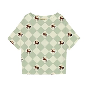 Oversized box tee Pegasus green 110/116のみ / kind rebel