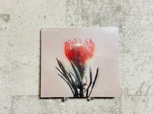Daisy Jaine / Banksia