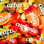 carbonic FRUITS sticker