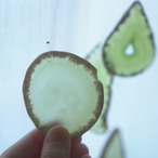 Healing Green - アゲートヒーリングチャイム / Agate Sun Catcher Wind Chime 023