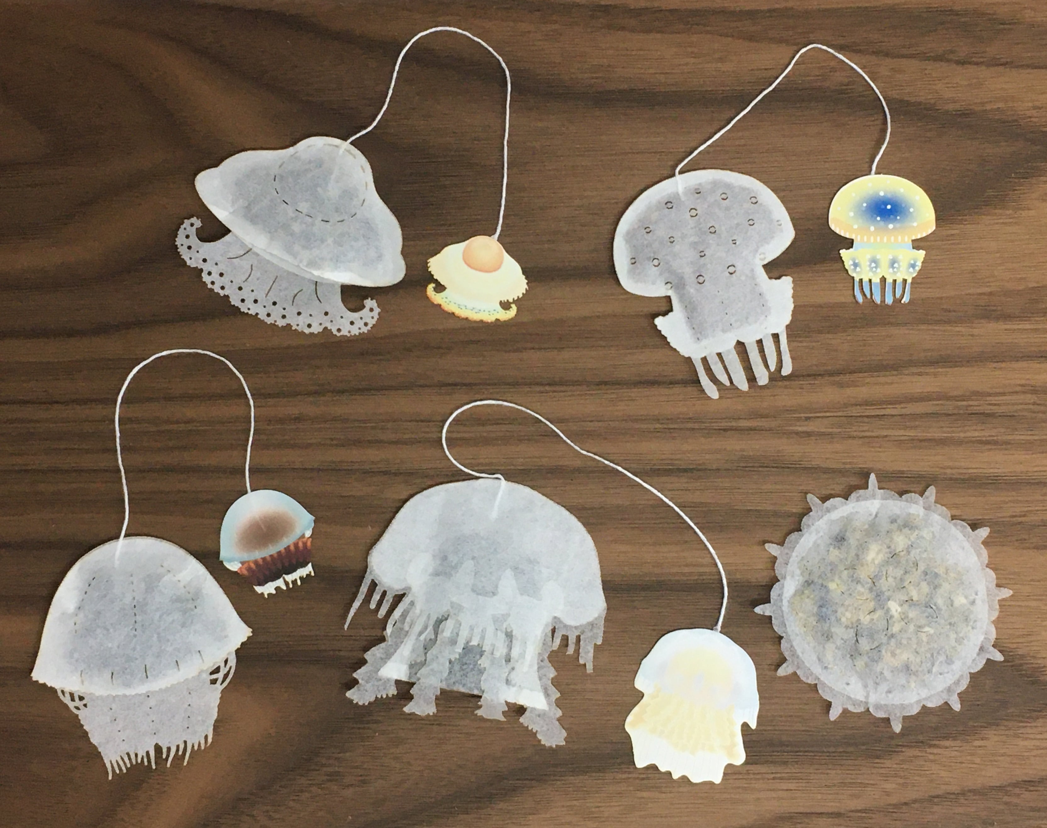 5種 クラゲのティーバッグセット 各１ｐ 合計5ｐ入 オーシャンティーバッグ Ocean Teabag