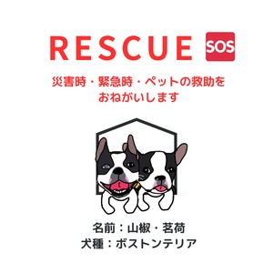 塩ビ素材ステッカー1枚　【レスキュー】　