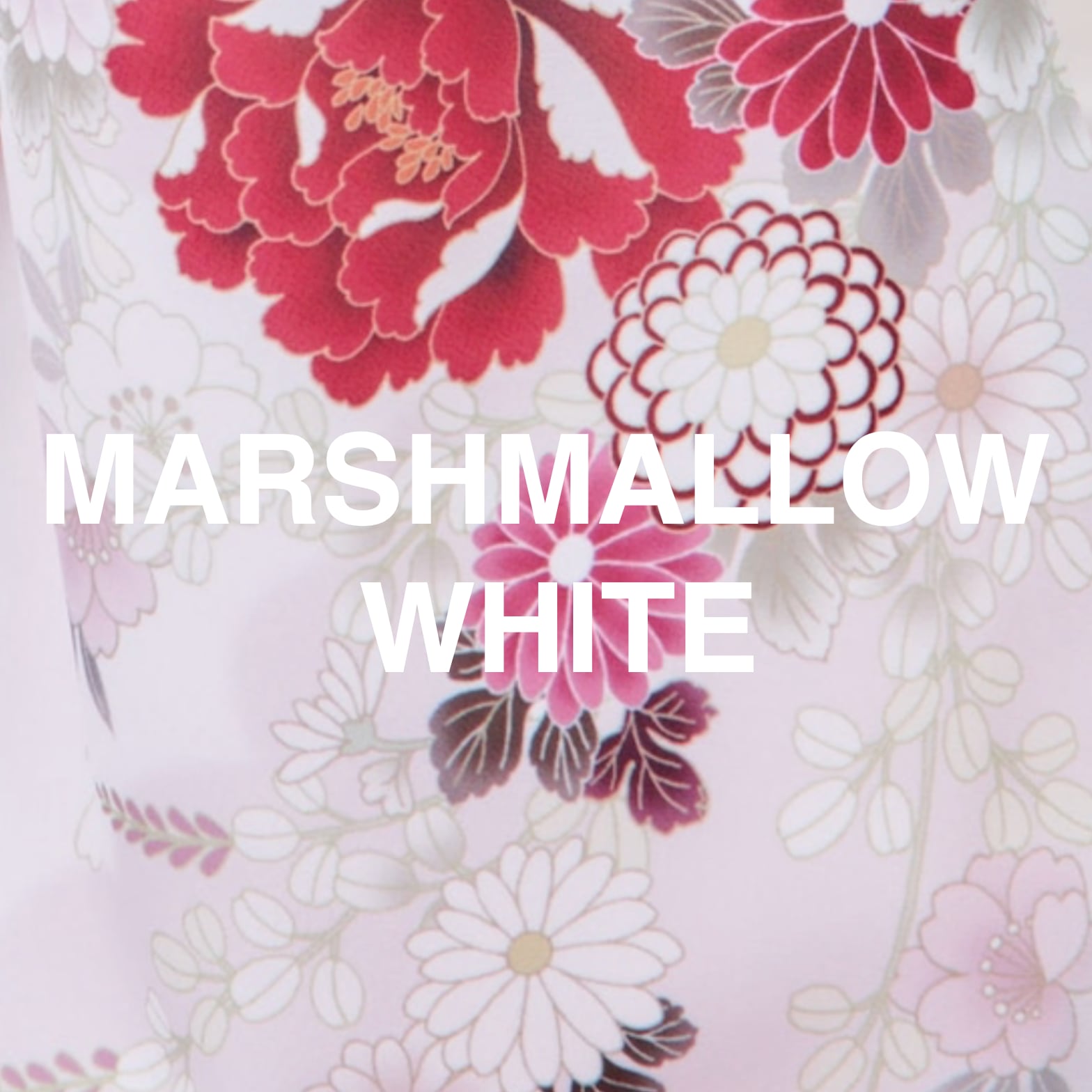 袴 MARSHMALLOW WHITE(撮影プラン)