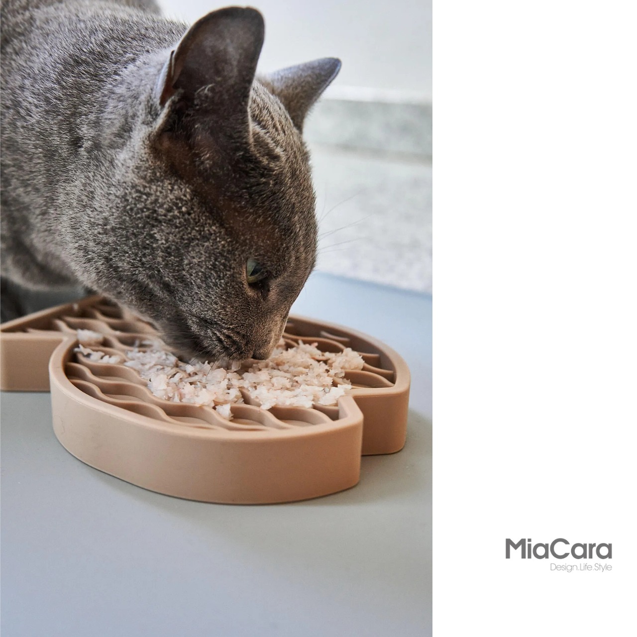 MiaCara｜Pesce Activity Cat Toy（知育キャットトイ）