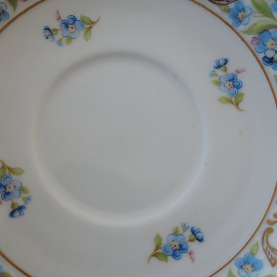 訳あり】シューマンババリア 勿忘草 カップ＆ソーサーC ドイツ