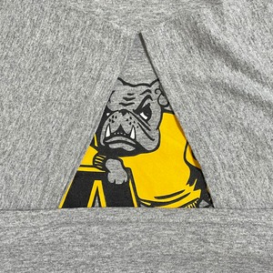 【GILDAN】カレッジ エイドリアン大学 ADRIAN COLLEGE ロゴ イラスト Tシャツ X-LARGE ビッグサイズ US古着