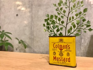 ビンテージ スパイス缶 "Colman's Mustard"