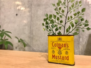 ビンテージ スパイス缶 "Colman's Mustard"