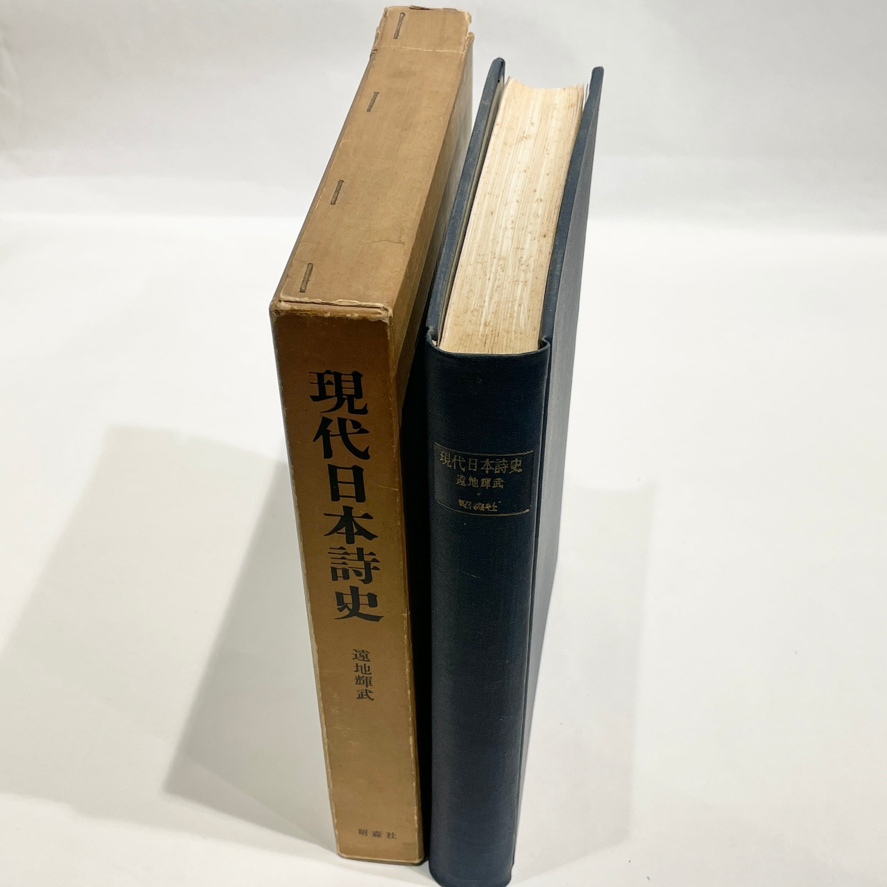 現代日本詩史 / 遠地輝武【古本】 | 七月堂古書部