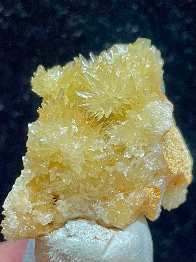 19) 超・古代レムリアンパワー！「カウアイ・レムリアン・ゴールデンハニーカルサイト」美結晶