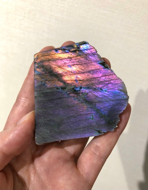 あなたが無邪気に満ちていたことを喚起させる紫龍