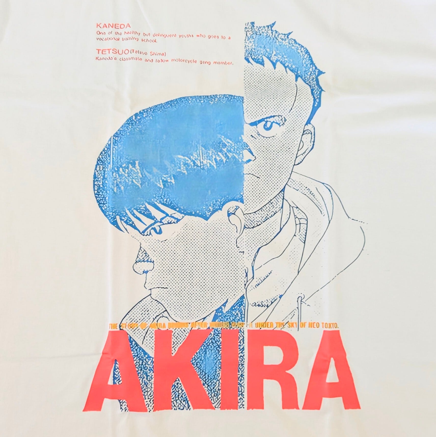 【 AKIRA ( アキラ )  】『KANEDA / TETSUO』Tシャツ / 映画Tシャツ / 大友克洋 〚アメリカン雑貨 アメトイ〛
