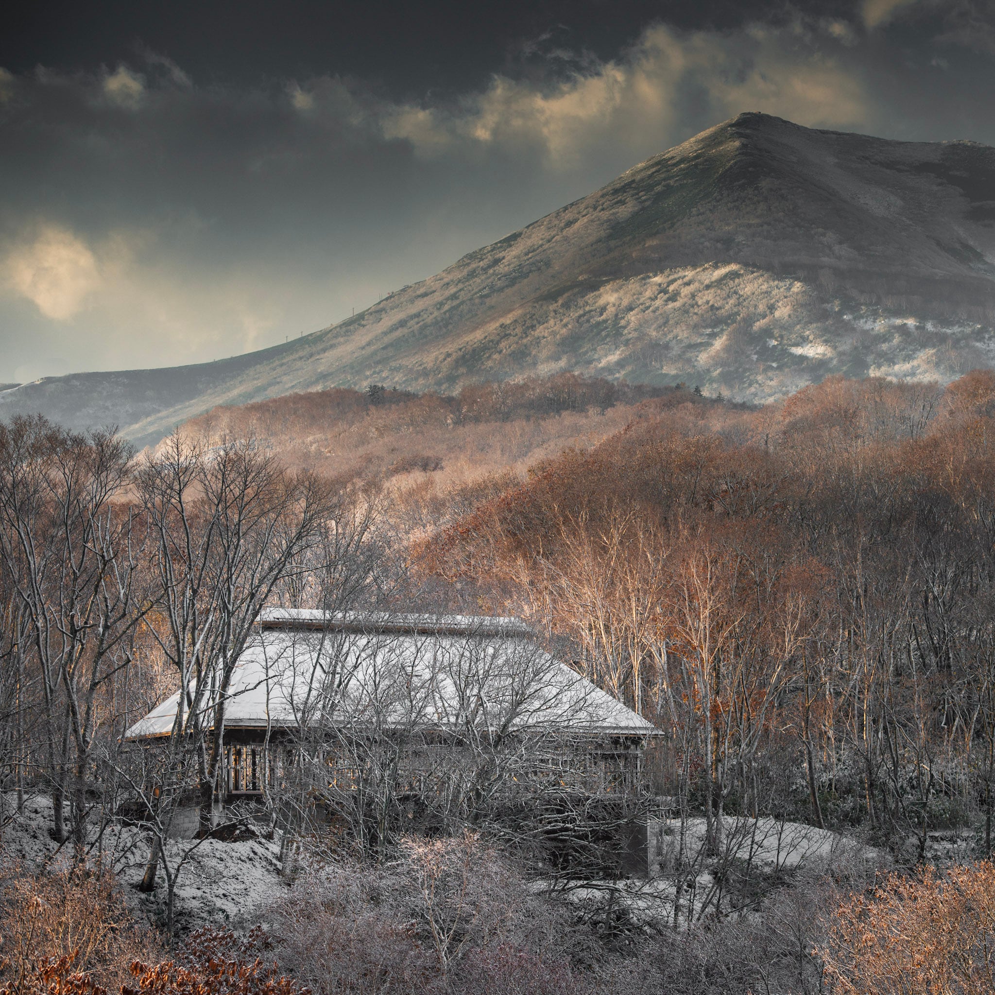 CHRONO CHARME SHIGUCHI COLLECTION bodywash（シグチコレクション