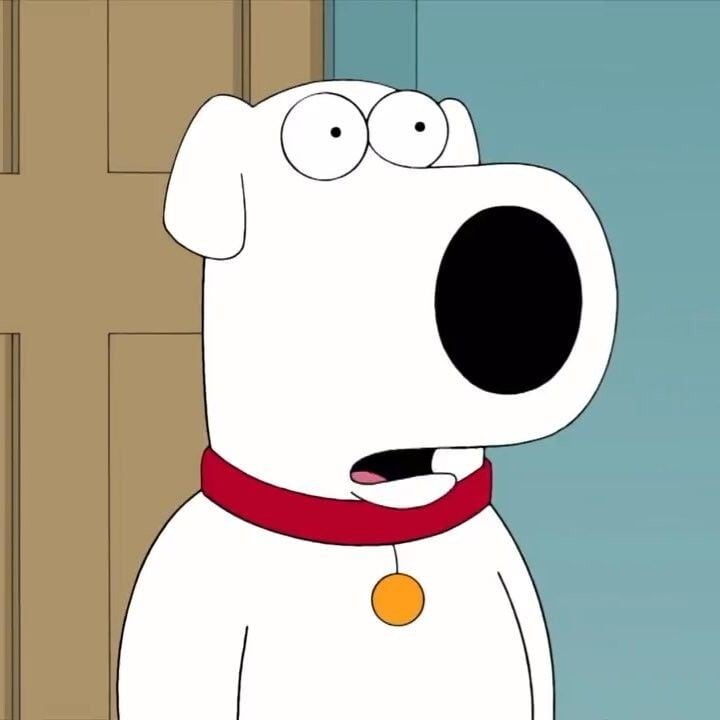 ★ブロックフィギュアキーホルダー★【 Family Guy ( ファミリー・ガイ ) 】ブライアン・グリフィン〚アメリカン雑貨 アメトイ〛
