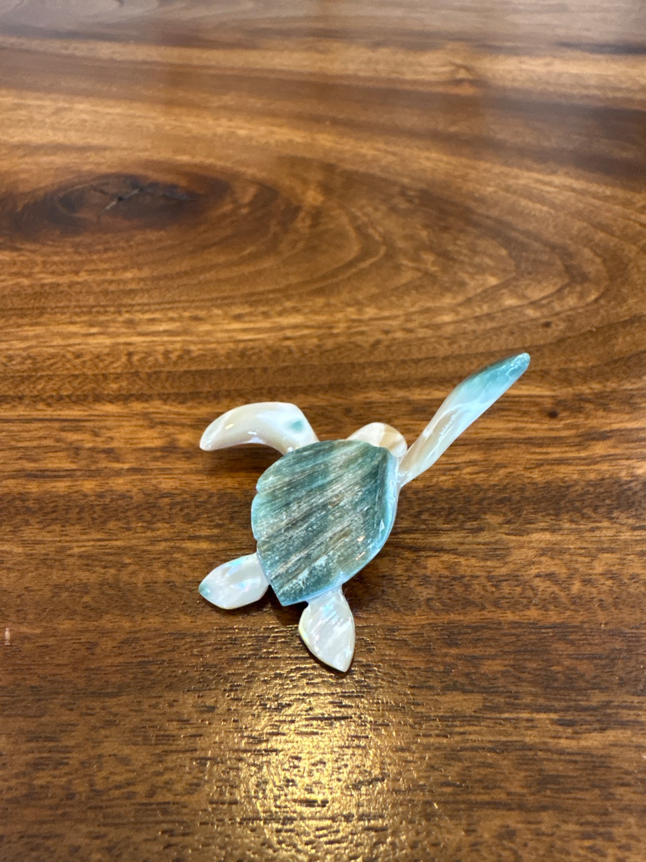 夜光貝カメのオブジェ