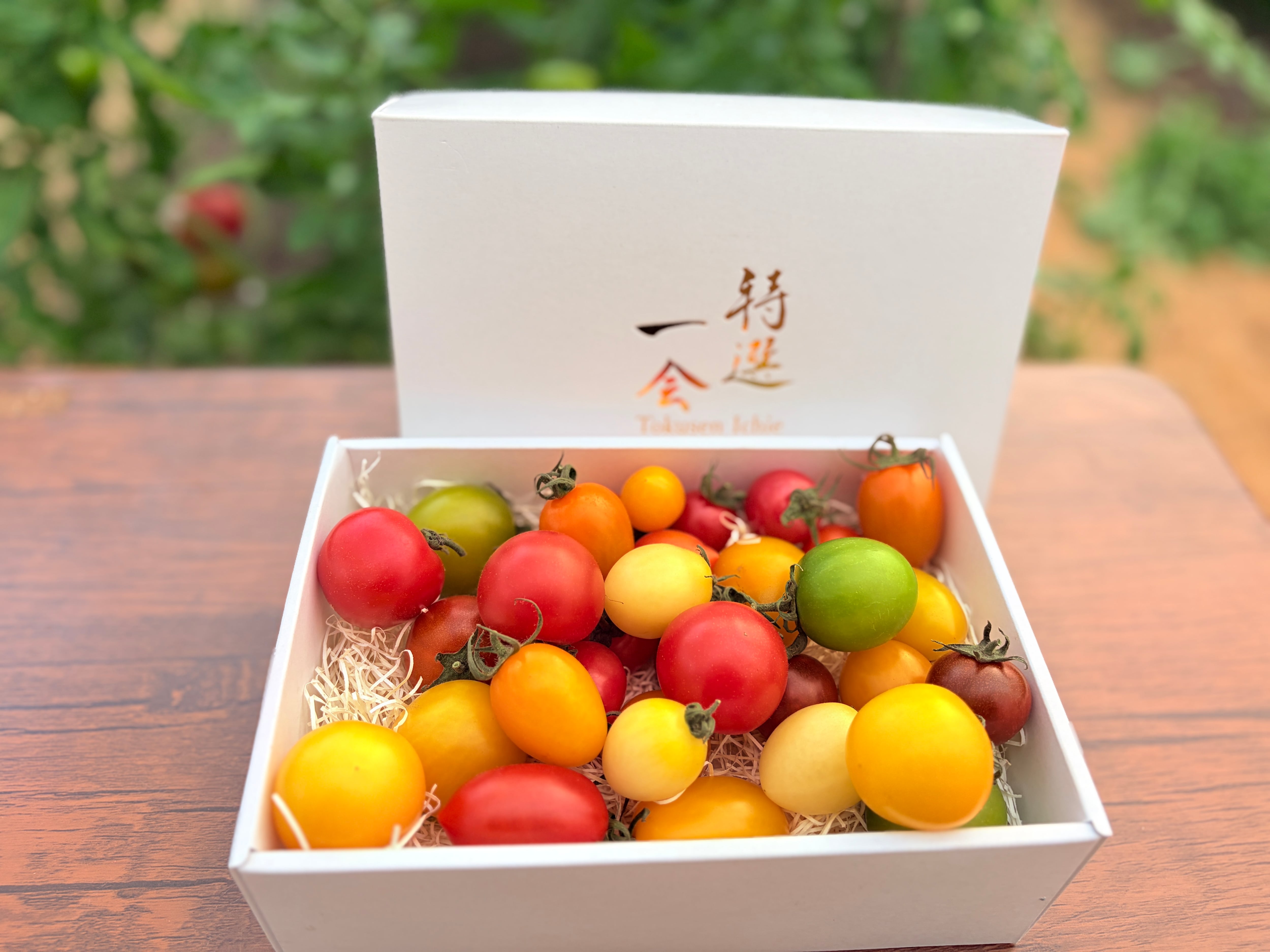 ①特選一会（宝石箱） | nature wakamatsu