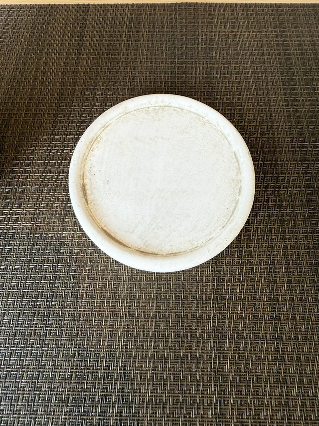 シンゴニウム・ストロベリー