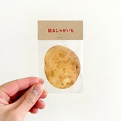 貼るじゃがいも