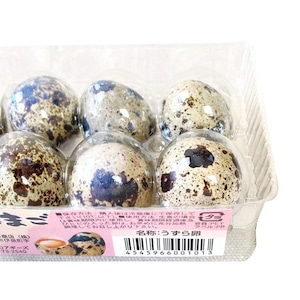 【食用】豊橋産 うずらの卵『生命の卵』 10個入り 4パック