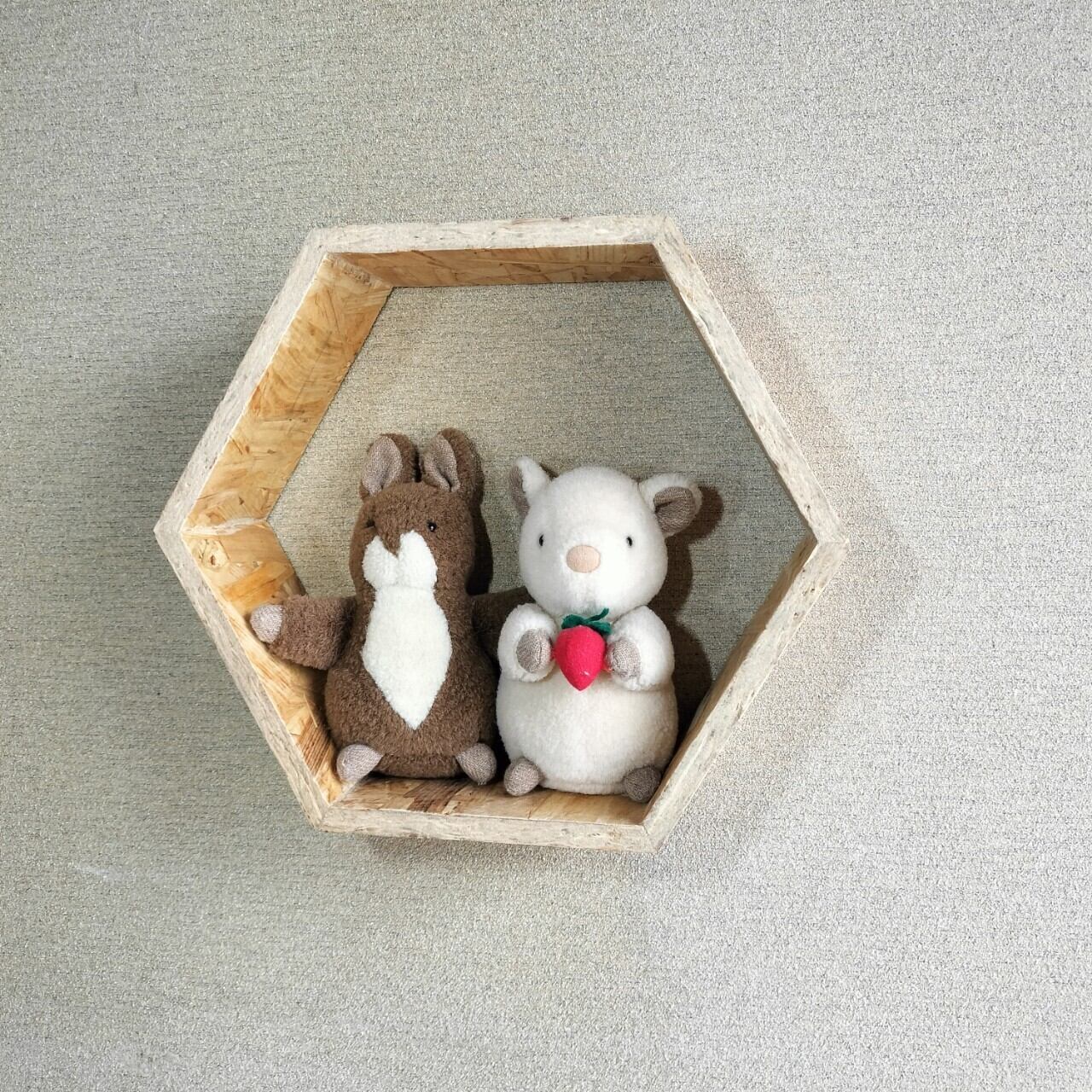 六角形のウォールシェルフ（Sサイズ）【ウォールラック】壁掛け | 生活