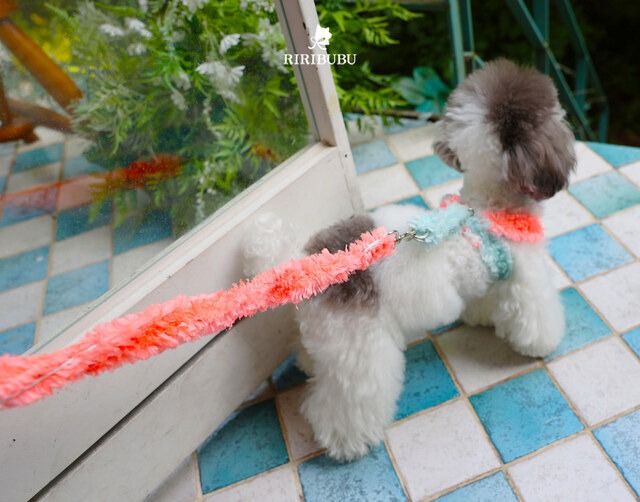 お散歩HARNESSハーネス ‐ (MINT)