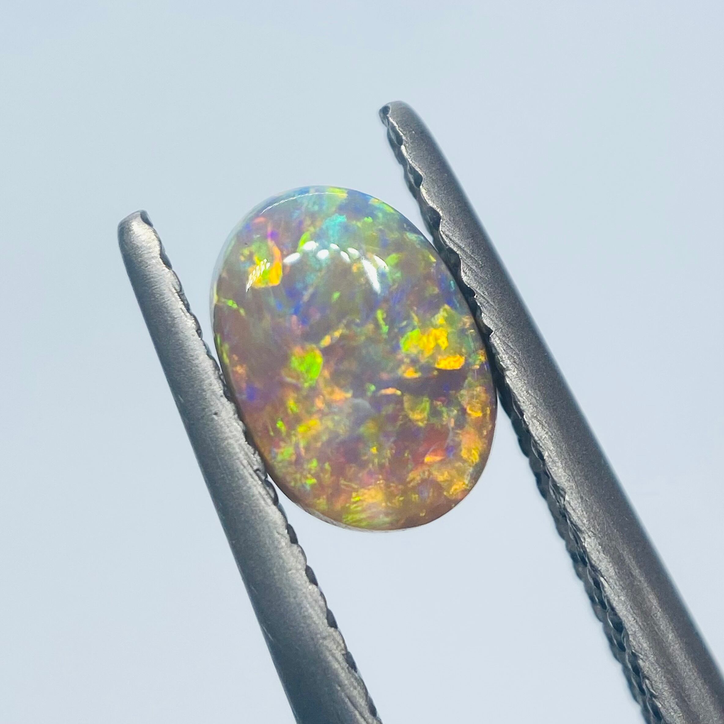 光の巨匠 ブラックオパール