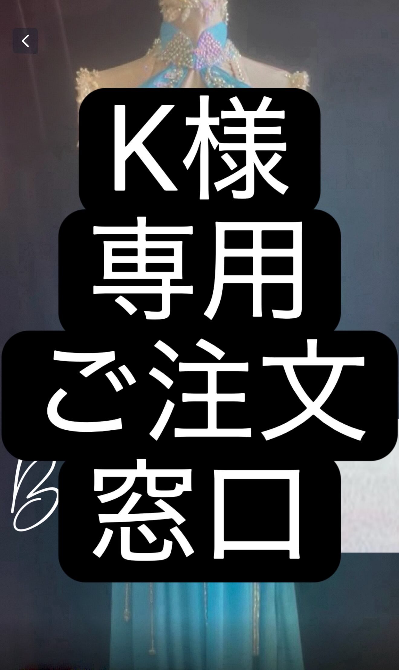 K様 専用 ご注文窓口 ベリーダンス オーダーメイド衣装 YX