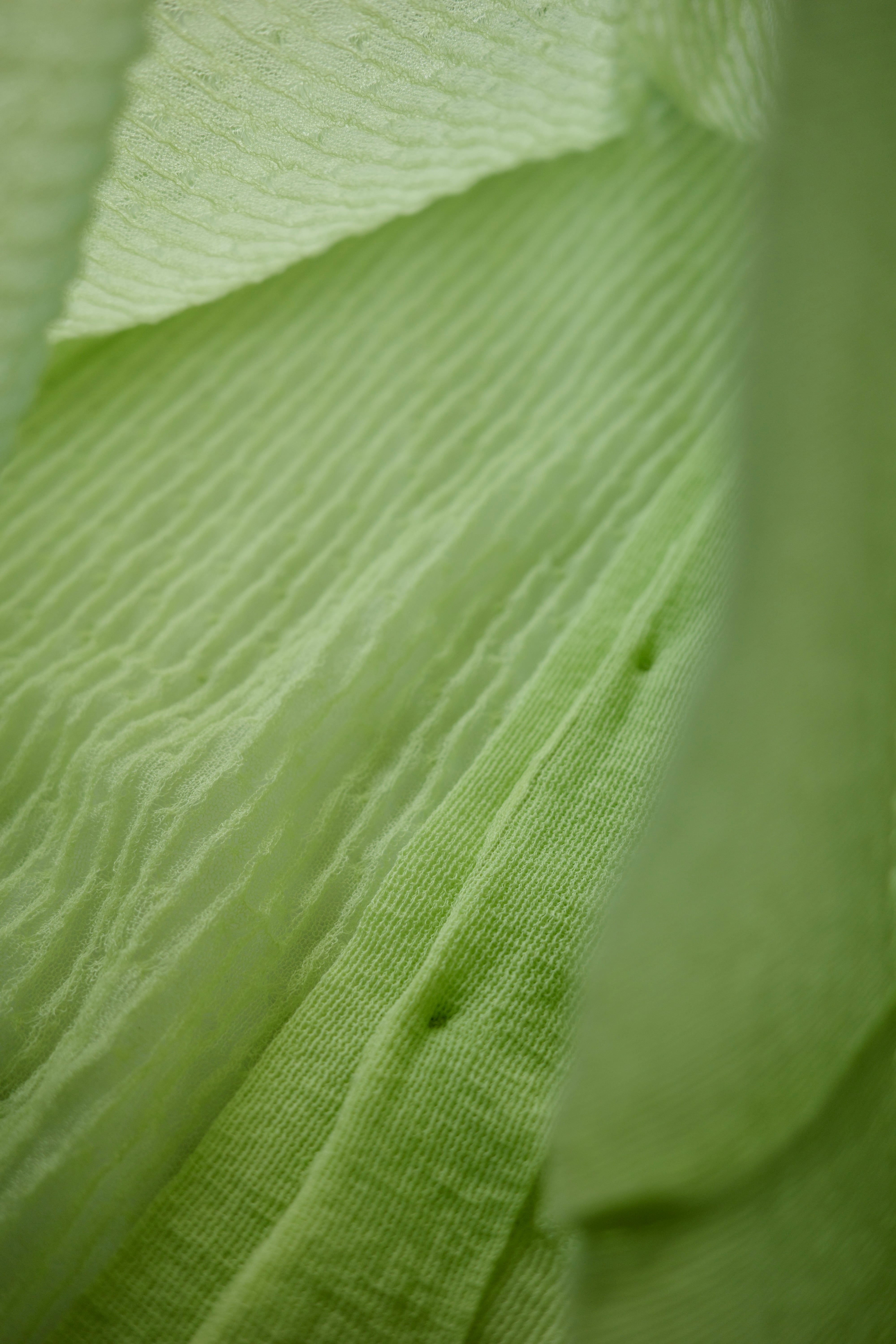 Kota Gushiken 【Shir-digan -Lime-】 | PAY ID