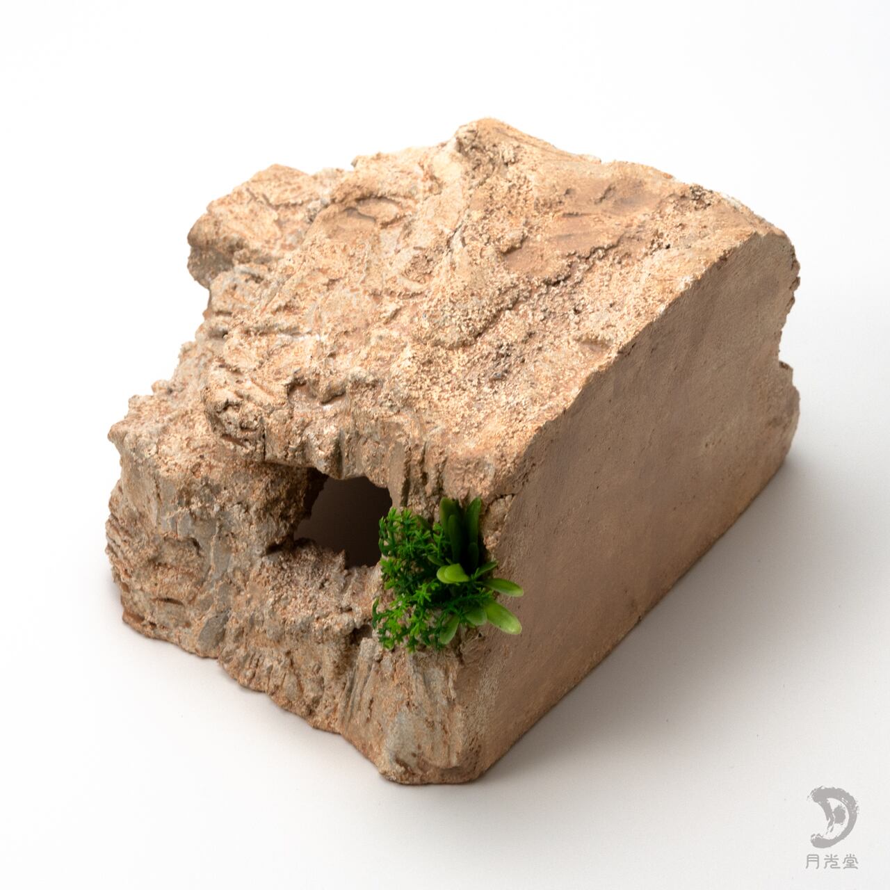 爬虫類バックボード とよ@DT on X: 