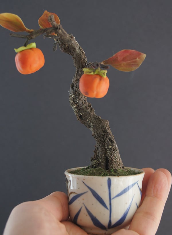 盆栽 柿 Persimmon Bonsai #93 | Oh! BONSAI