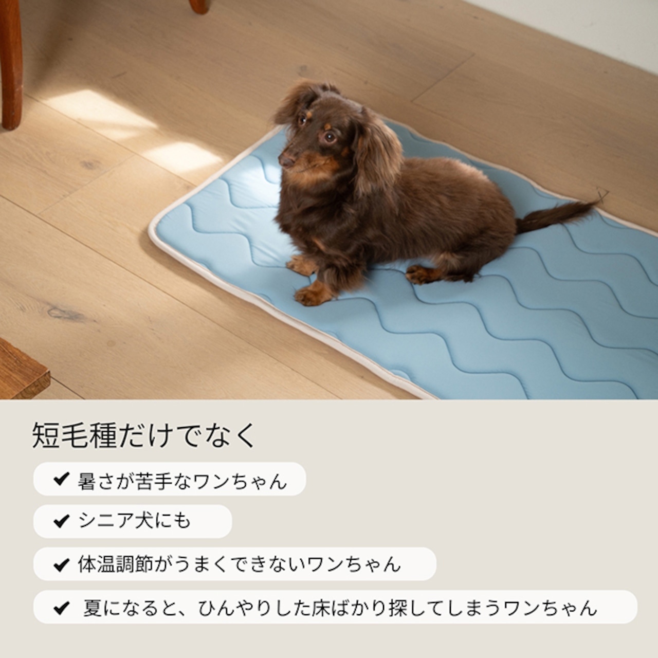 ※予約【puppygallery公式】Cool Wave Memory Foam Mat〔S・M〕