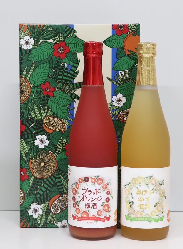 ☆贈答にピッタリ☆　ブラッドオレンジ梅酒&瀬戸内レモン梅酒　飲み比べギフトセット（各720ml）母の日 ギフト 愛媛県産ブラッドオレンジやレモン使用のリキュール 飲み比べセット オリジナルラッピング ☆梅酒品評会2021金賞受賞☆