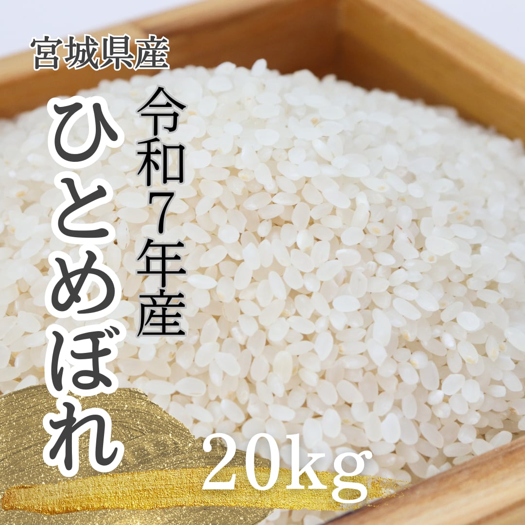 令和7年産 【20kg精米】 宮城県産ひとめぼれ | 有限会社笠原商店