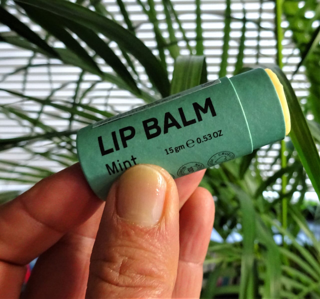 リップバーム【NOOSA BASICS】押し出し式スティック型＊全4種＊ | エコ