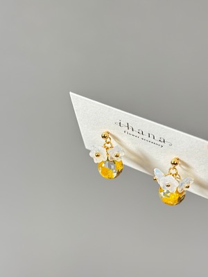 mimosa spring design