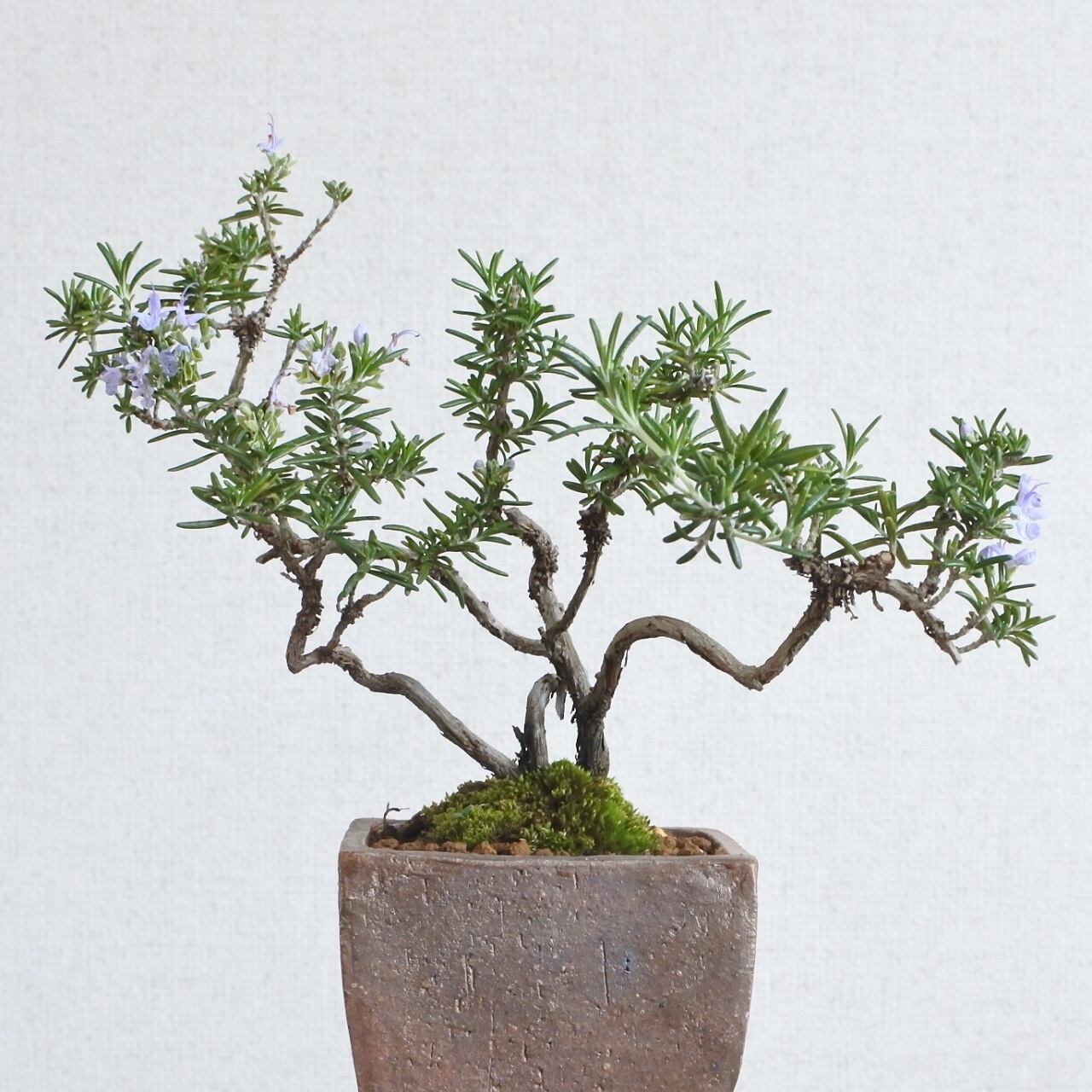 32159910ee36a113473294ebb784c9