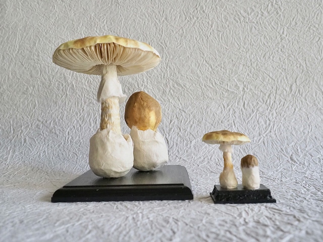 内藤瑠里　和紙のきのこ模型 ” タマゴテングタケ "