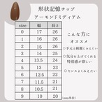 大人ショコラネイル｜ブラウンフラッシュマグネットとワンポイントハートのネイルチップ｜B50
