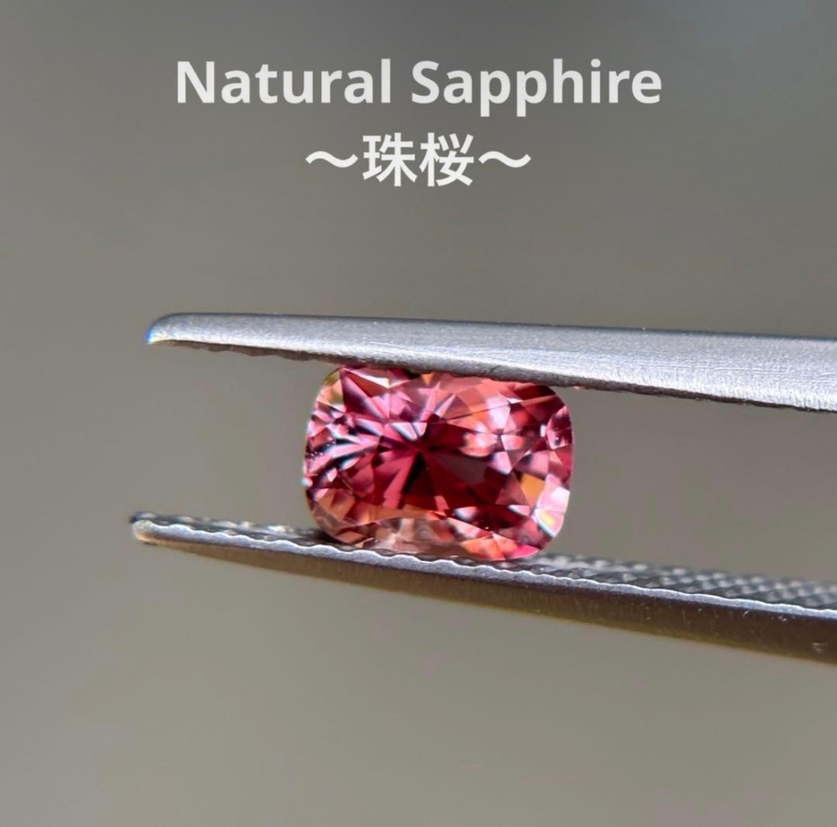 天然 0.773ct 〜珠桜〜 ファンシーカラーサファイア | もち(ルース屋)3588